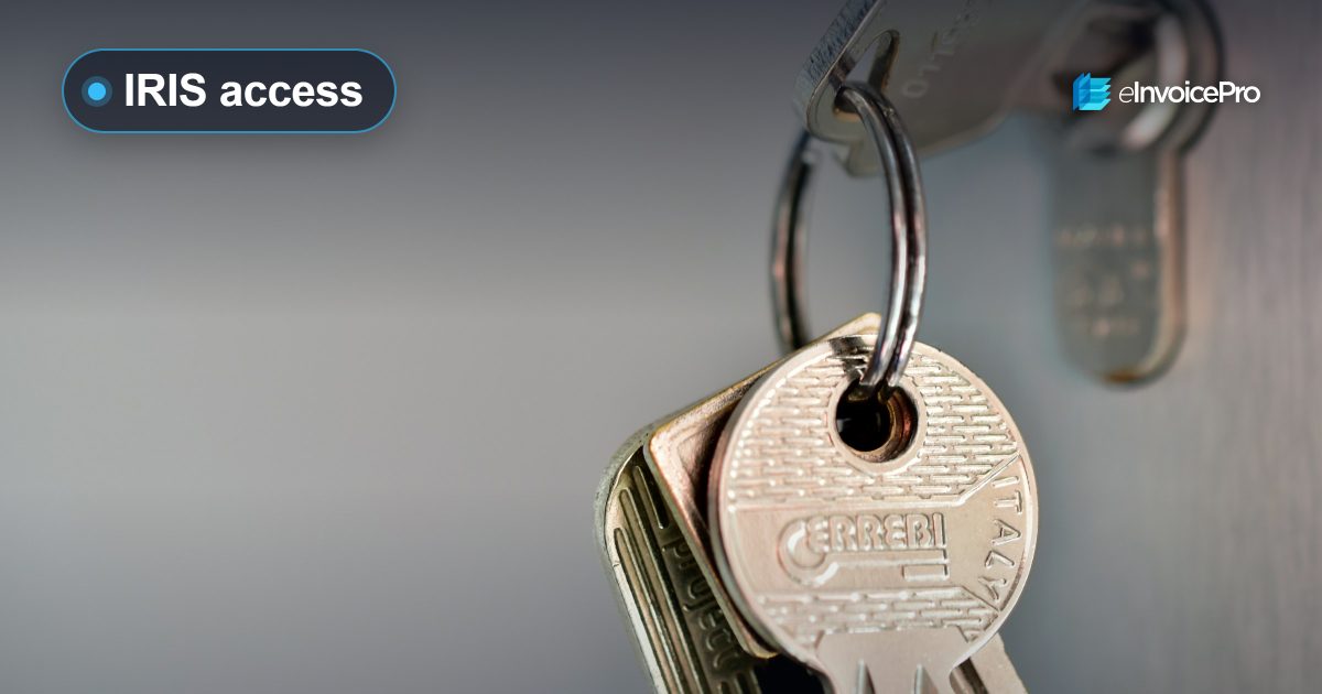 A bunch of keys hanging from a hook
